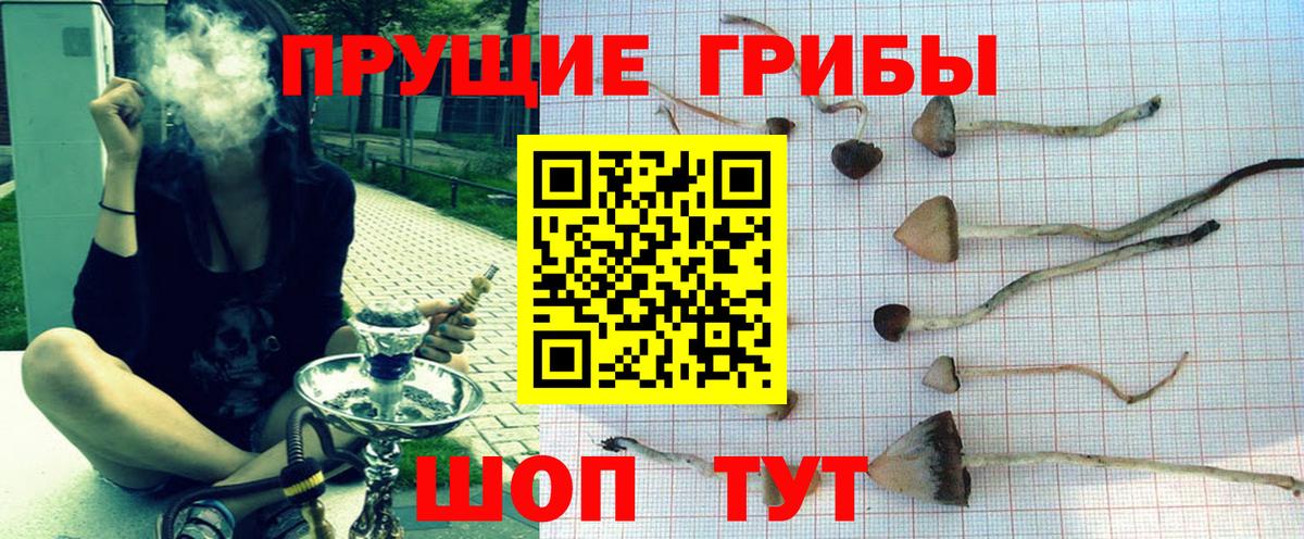 Галлюциногенные грибы прущие грибы Кондопога