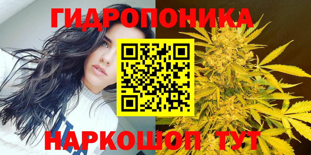 Бошки марихуана MAZAR  Вход с VPN  Марихуана гибрид  Кондопога  Бошки марихуана индика 